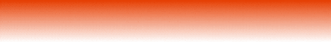 Banner von Firmenguru